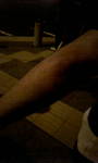 20070908190841.jpg